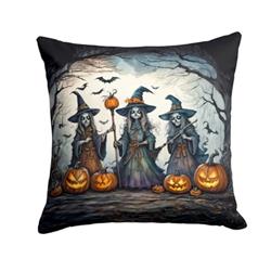 3 x 14 x 14 in. Witches Spooky Halloween Throw Pillow
