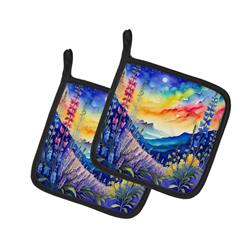 DAC1952PTHD 0.3 x 7.5 x 7.5 in. Colorful Delphinium Pair of Pot Holders
