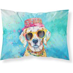 0.15 x 20.5 x 30 in. Schnauzer Hippie Dawg Standard Pillowcase
