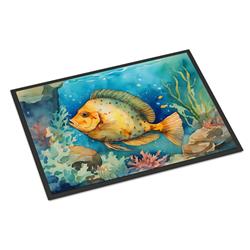0.15 x 18 x 27 in. Flounder Doormat