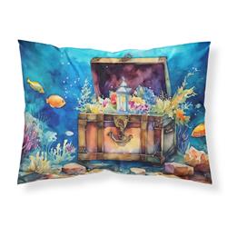 0.15 x 20.5 x 30 in. Treasure Chest Standard Pillowcase