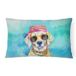 3 x 16 x 12 in. Hippie Dawg Fabric Decorative Pillow
