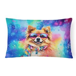 3 x 16 x 12 in. Pomeranian Hippie Dawg Fabric Decorative Pillow