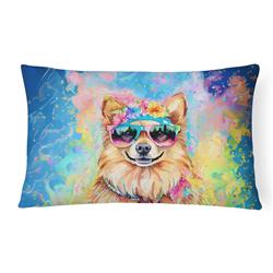 3 x 16 x 12 in. Pomeranian Hippie Dawg Fabric Decorative Pillow