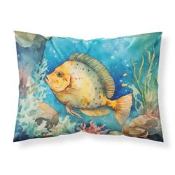 0.15 x 20.5 x 30 in. Flounder Standard Pillowcase