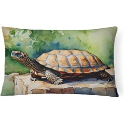 3 x 16 x 12 in. Unisex Turtles Tortoises Throw Pillow