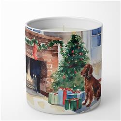 10 oz Irish Setter Cozy Christmas Decorative Soy Candle