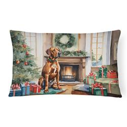 3 x 16 x 12 in. Rhodesian Ridgeback Cozy Christmas Throw Pillow