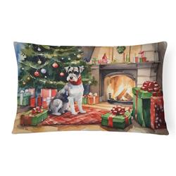 3 x 16 x 12 in. Schnauzer Cozy Christmas Throw Pillow
