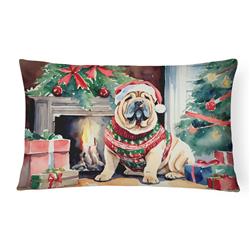 3 x 16 x 12 in. Shar Pei Cozy Christmas Throw Pillow