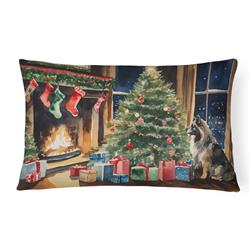 3 x 16 x 12 in. Keeshond Cozy Christmas Throw Pillow