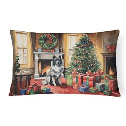 3 x 16 x 12 in. Keeshond Cozy Christmas Throw Pillow