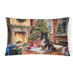 3 x 16 x 12 in. Keeshond Cozy Christmas Throw Pillow