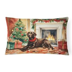 3 x 16 x 12 in. Labrador Retriever Cozy Christmas Throw Pillow