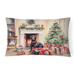 3 x 16 x 12 in. Labrador Retriever Cozy Christmas Throw Pillow