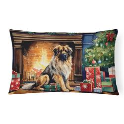 3 x 16 x 12 in. Leonberger Cozy Christmas Throw Pillow