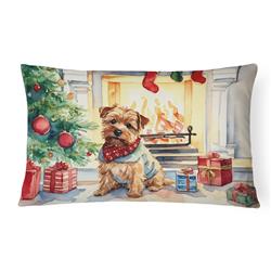 3 x 16 x 12 in. Norfolk Terrier Cozy Christmas Throw Pillow