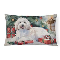 3 x 16 x 12 in. Coton De Tulear Cozy Christmas Throw Pillow