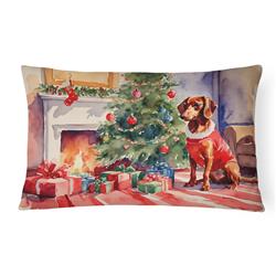 3 x 16 x 12 in. Dachshund Cozy Christmas Throw Pillow