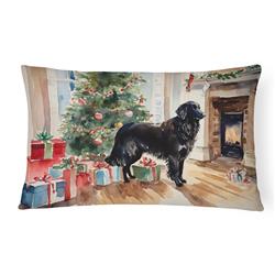 3 x 16 x 12 in. Flat-Coated Retriever Cozy Christmas Throw Pillow