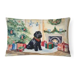 3 x 16 x 12 in. Black Russian Terrier Cozy Christmas Throw Pillow