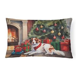 3 x 16 x 12 in. Brittany Cozy Christmas Throw Pillow