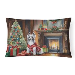 3 x 16 x 12 in. Chinese Crested Cozy Christmas Throw Pillow