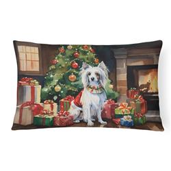 3 x 16 x 12 in. Chinese Crested Cozy Christmas Throw Pillow