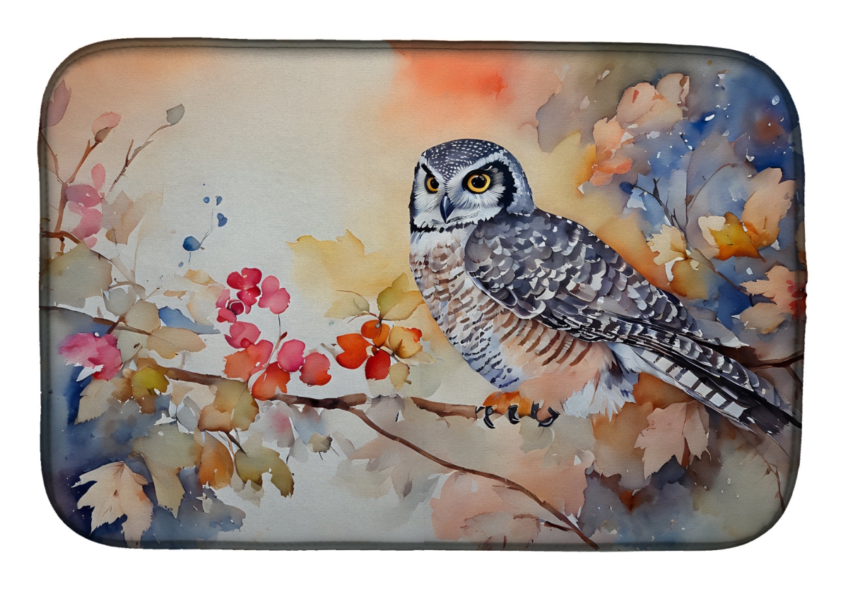 DAC3244DDM 21 x 14 in.  Northern Hawk Owl Dish Drying Mat