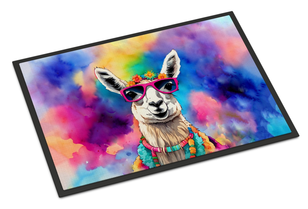 24 x 36 in. Unisex Hippie Animal Llama Doormat