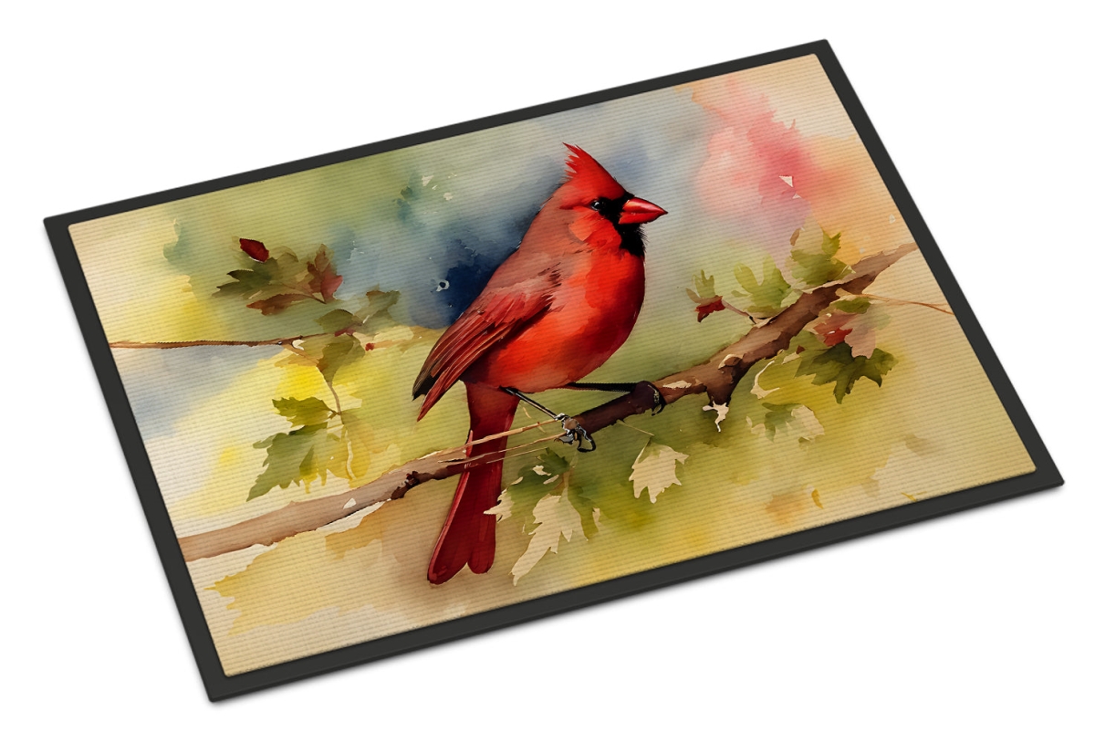 18 x 27 in. Unisex Cardinal Doormat