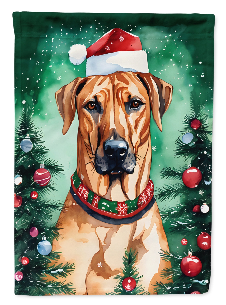 DAC3605CHF 40 x 28 in. Rhodesian Ridgeback Christmas Polyester House Flag