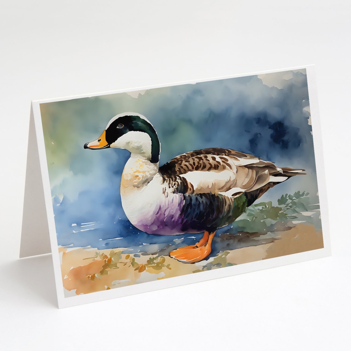 5 x 7 in. Unisex Common Eider Duck Greeting Cards - Pack of 8