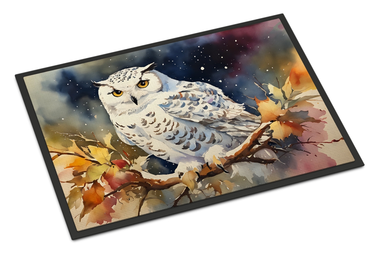 18 x 27 in. Unisex Snowy Owl Doormat