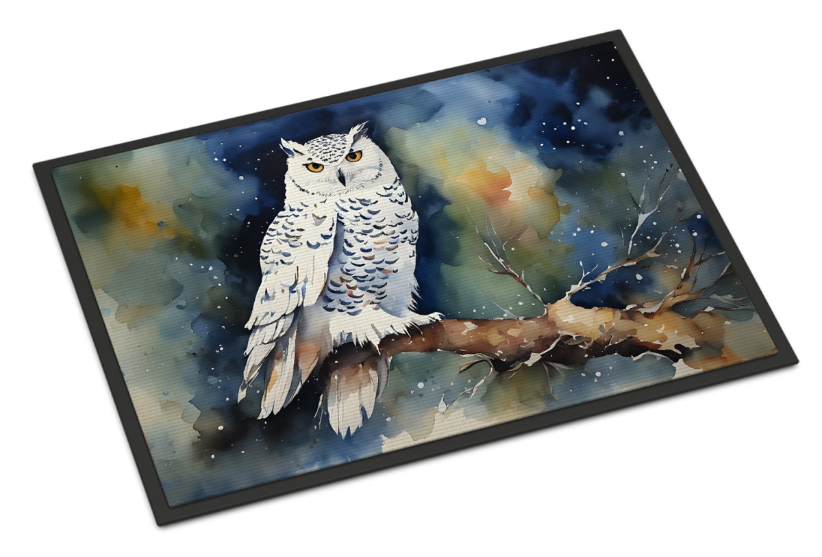 18 x 27 in. Unisex Snowy Owl Doormat