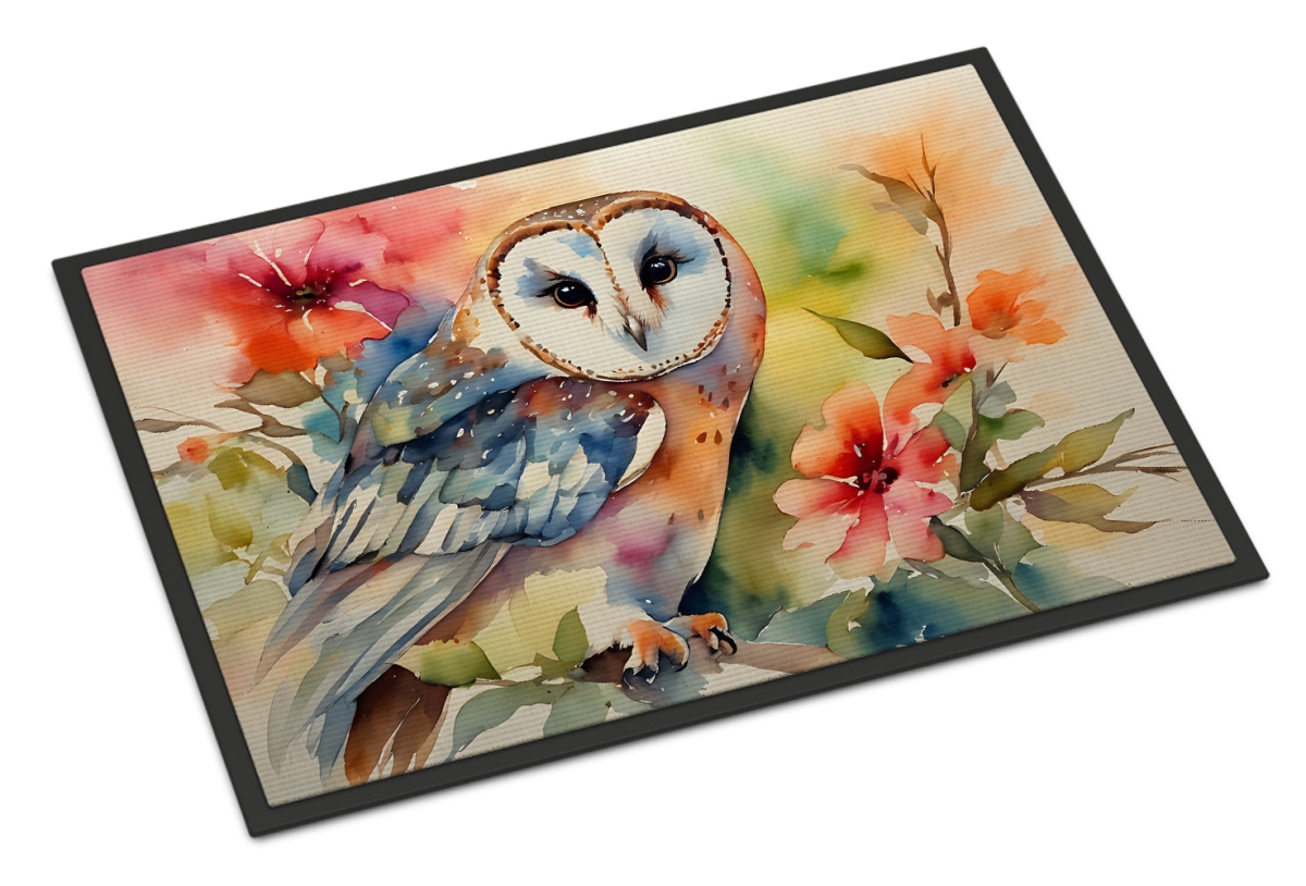 24 x 36 in. Unisex Barn Owl Doormat