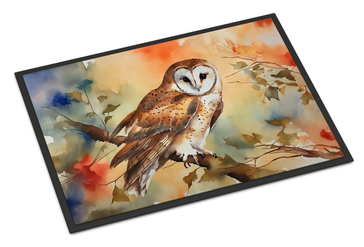 24 x 36 in. Unisex Barn Owl Doormat