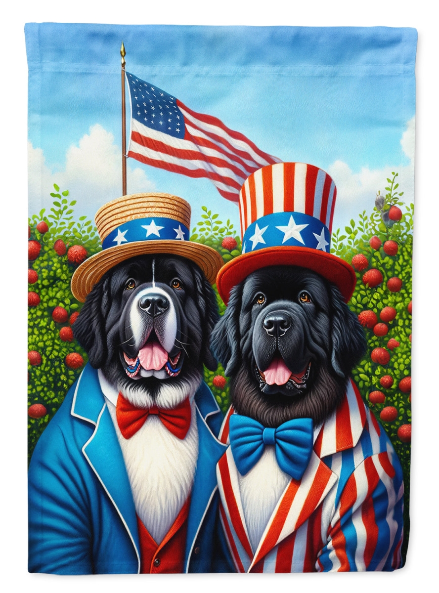 DAC4274CHF 40 x 28 in. All American foundland Polyester House Flag
