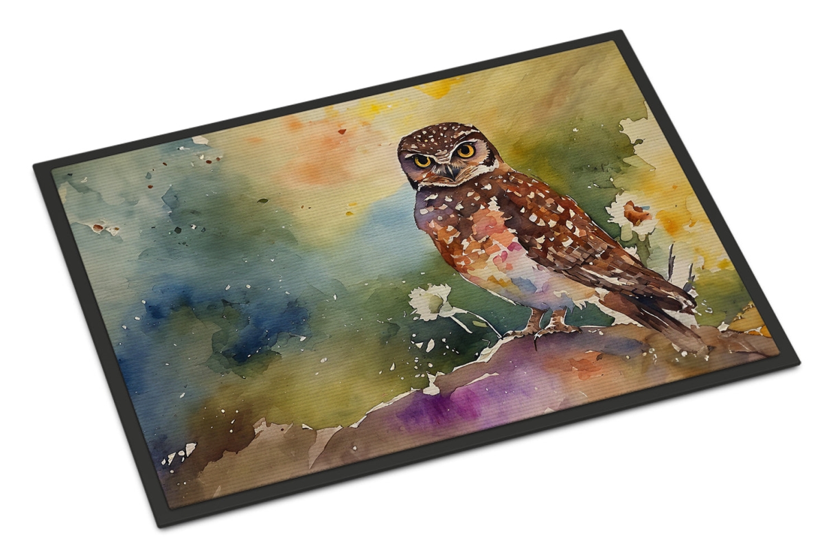 24 x 36 in. Unisex Burrowing Owl Doormat