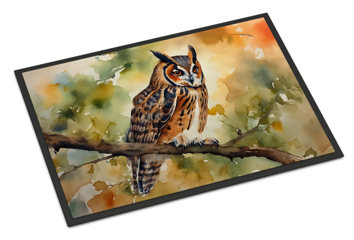 24 x 36 in. Unisex Long-Eared Owl Doormat