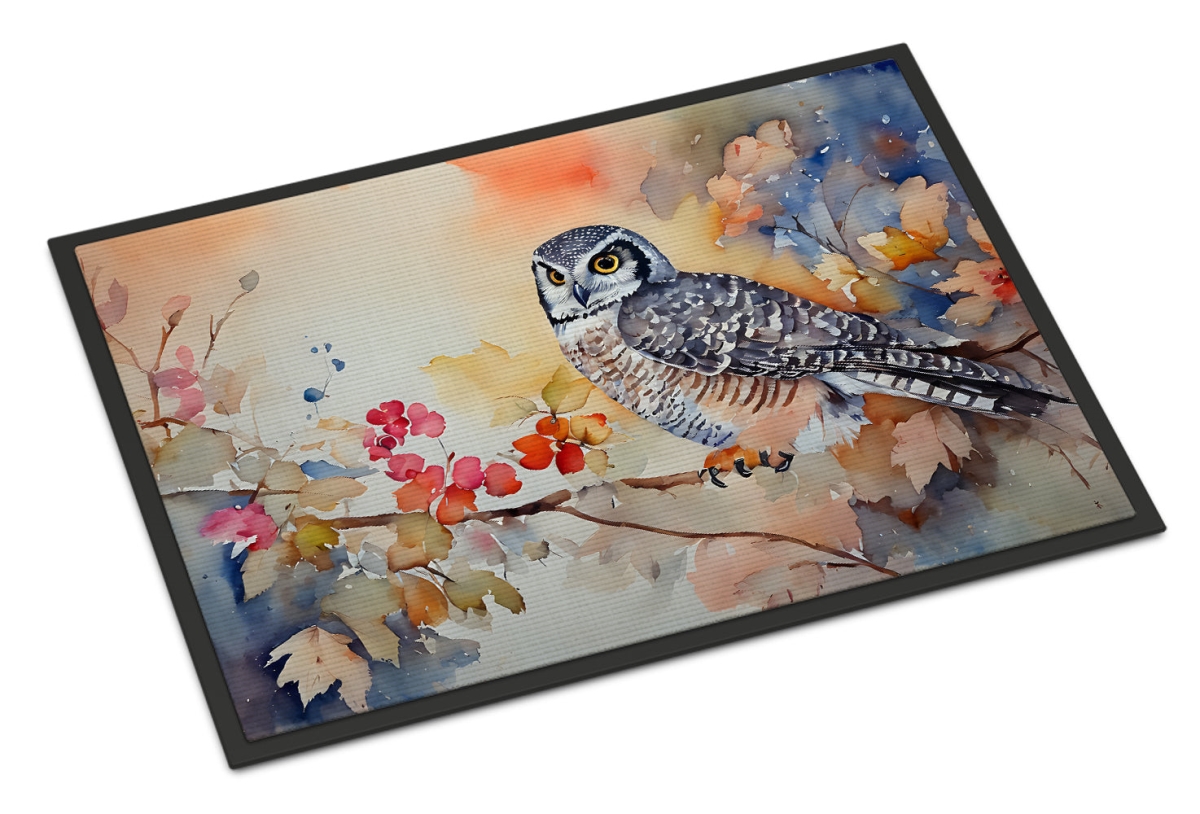 DAC3244JMAT 24 x 36 in.  Northern Hawk Owl Doormat