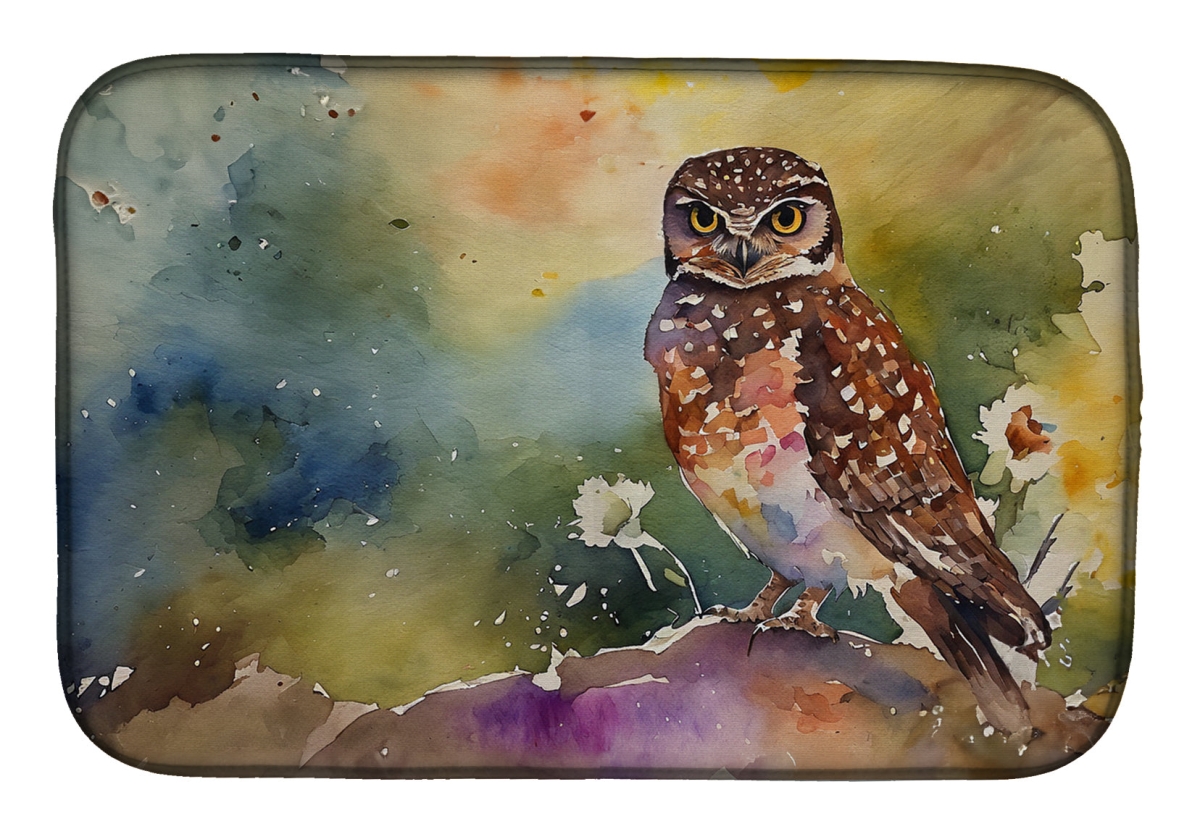 DAC3195DDM 21 x 14 in.  Burrowing Owl Dish Drying Mat