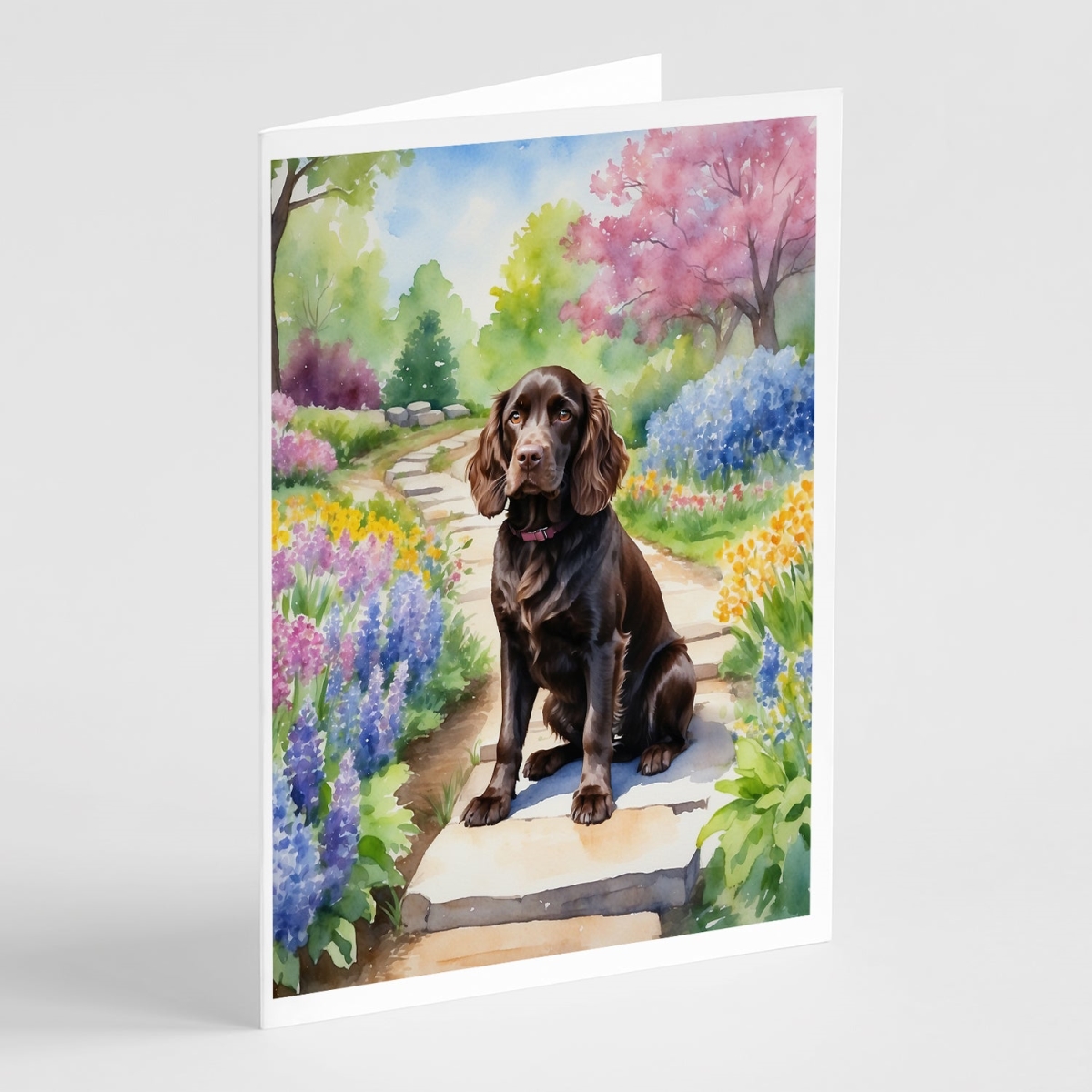 DAC6583GCA7P 5 x 7 in. Boykin Spaniel Spring Path Greeting Cards - Pack of 8