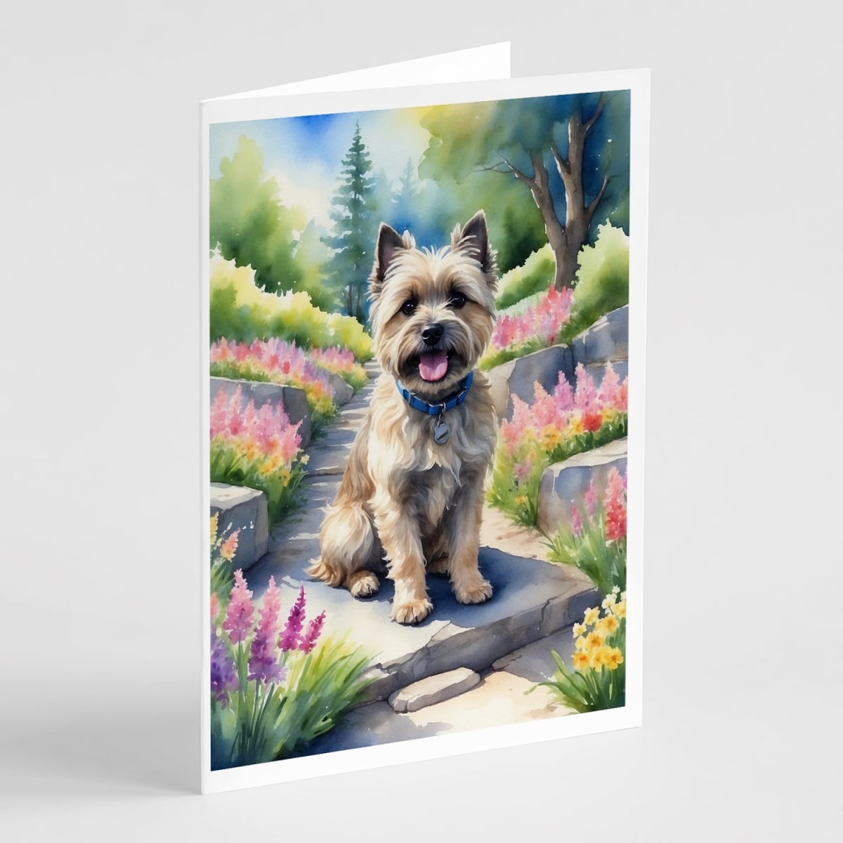 DAC6589GCA7P 5 x 7 in. Cairn Terrier Spring Path Greeting Cards - Pack of 8