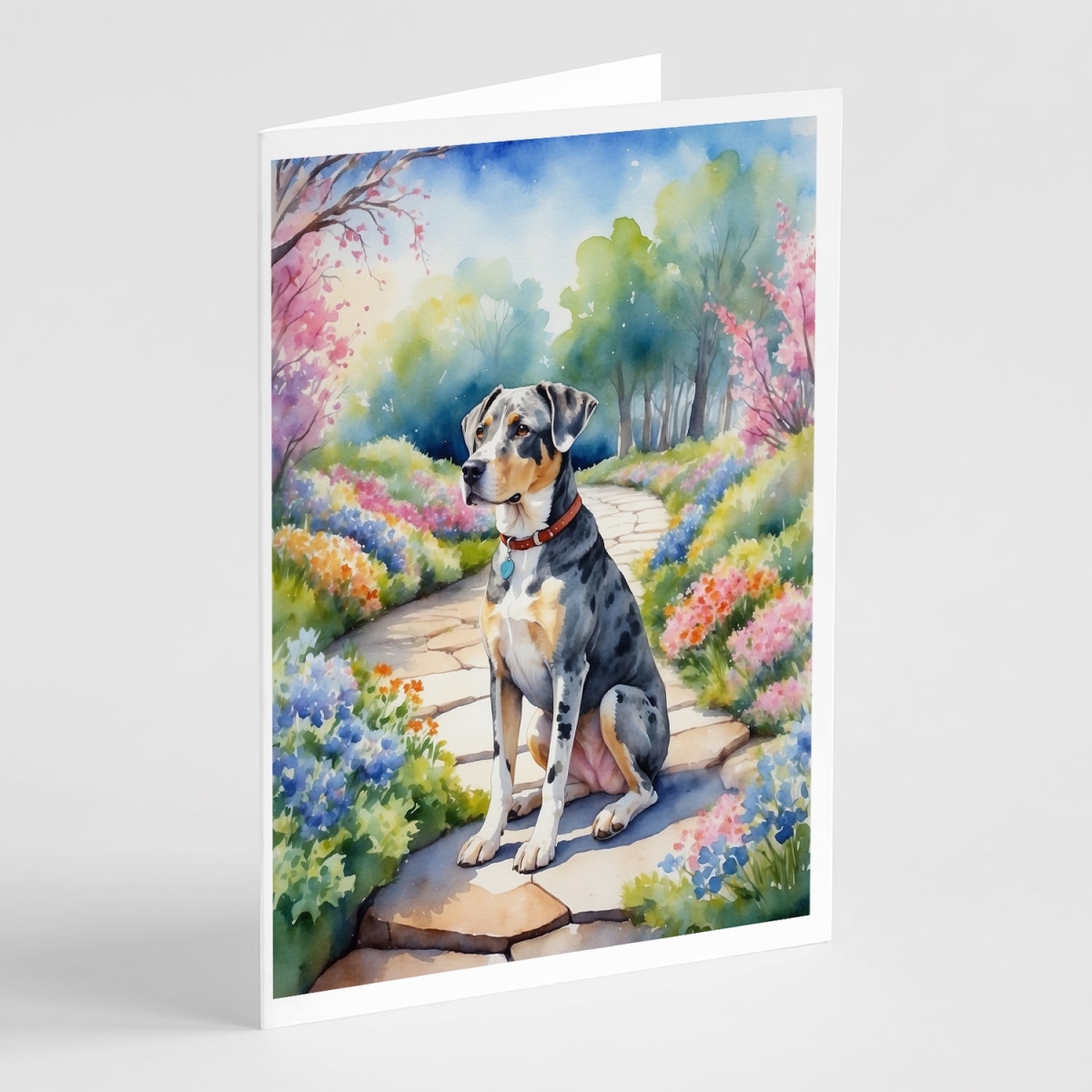 DAC6592GCA7P 5 x 7 in. Catahoula Spring Path Greeting Cards - Pack of 8