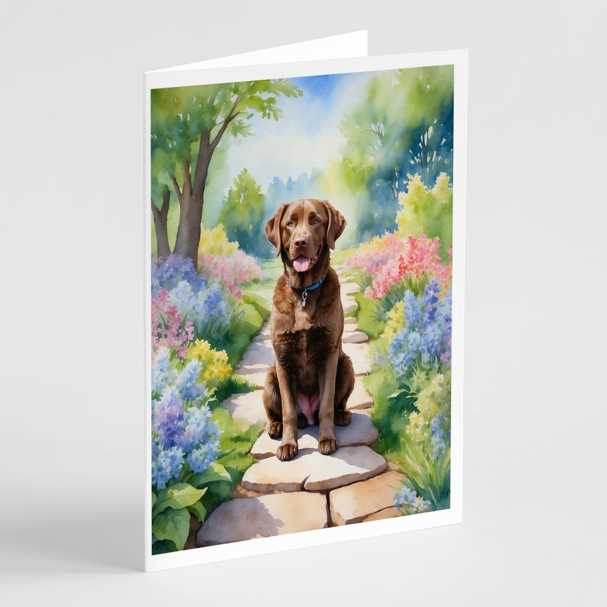 DAC6595GCA7P 5 x 7 in. Chesapeake Bay Retriever Spring Path Greeting Cards - Pack of 8