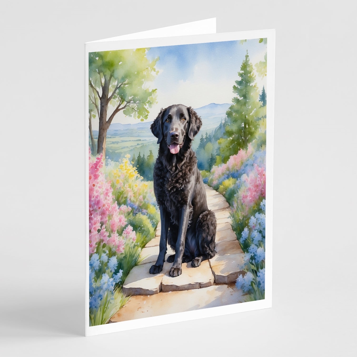 DAC6612GCA7P 5 x 7 in. Curly-Coated Retriever Spring Path Greeting Cards - Pack of 8