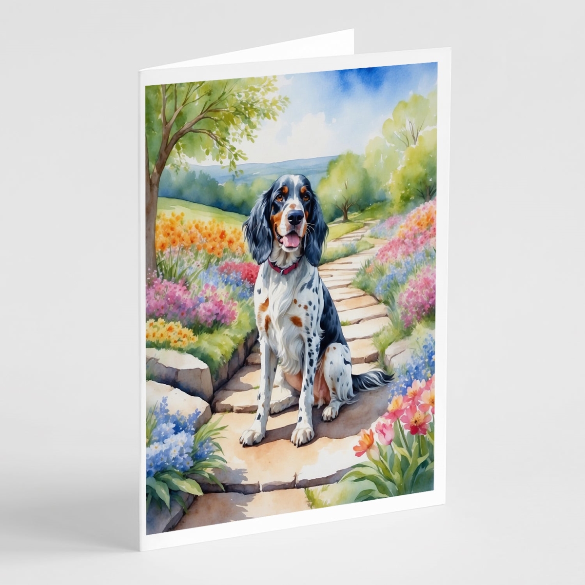 DAC6624GCA7P 5 x 7 in. English Setter Spring Path Greeting Cards - Pack of 8