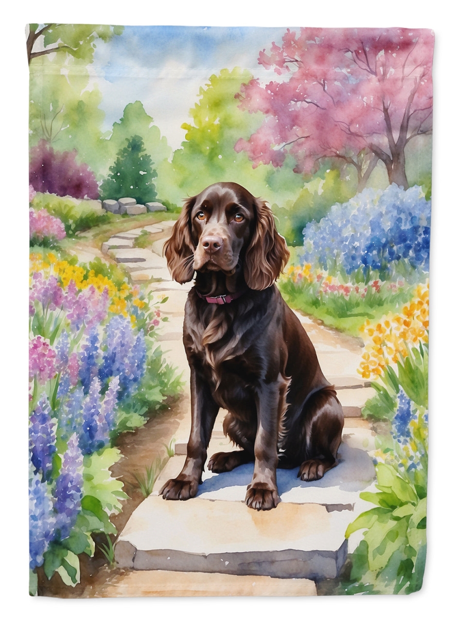 DAC6583CHF 40 x 28 in. Boykin Spaniel Spring Path House Flag