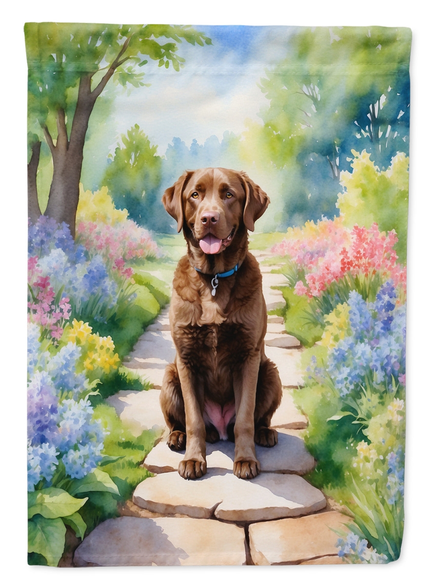 DAC6595CHF 40 x 28 in. Chesapeake Bay Retriever Spring Path House Flag